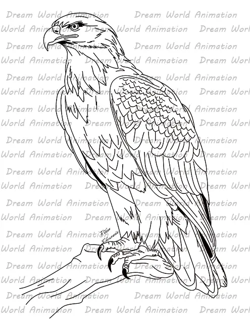Eagle 001