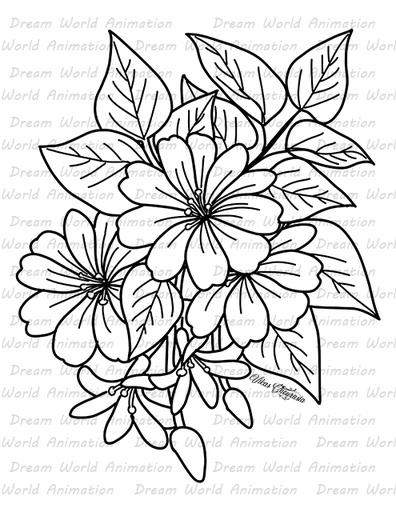 Flower 1010409