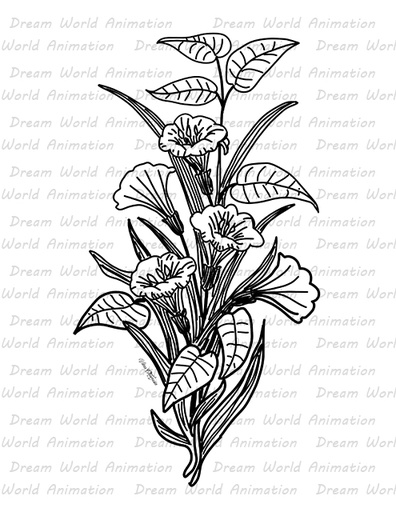 Flower 1010416