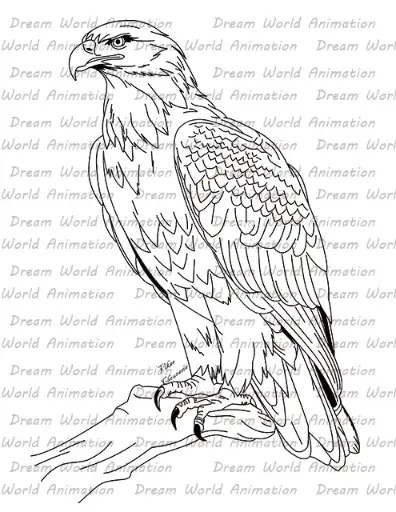 Eagle 001